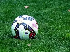 安东尼奥看,好年轻一代,澳大利亚本,1xbet官网,1xbet体育官方网站,1xbet官网入口,1xbet体育官网