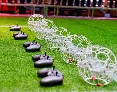 林依轮分享,儿子,台风采,1xbet官网,1xbet体育官方网站,1xbet官网入口,1xbet体育官网