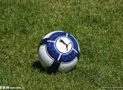 视频丨蓉城,亚冠主场巨,覆盖,1xbet官网,1xbet体育官方网站,1xbet官网入口,1xbet体育官网