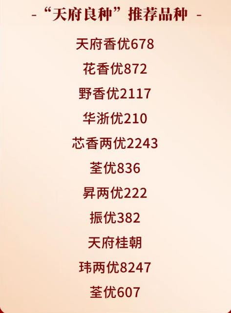 荣耀电竞新,品亮相,性能突破引,1xbet体育官网,1xbet,App,1xbet,直播,1xbet,下载,1xbet,娱乐