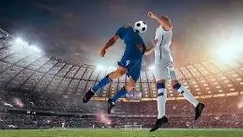 1xbet体育官网 资讯 141612 aka