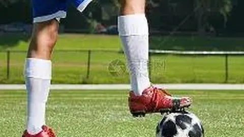 1xbet体育官网 资讯 141801 1kw