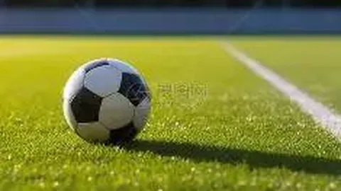 我国7月外汇市场运行态势稳健