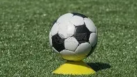 1xbet体育官网 产品 102903 jha